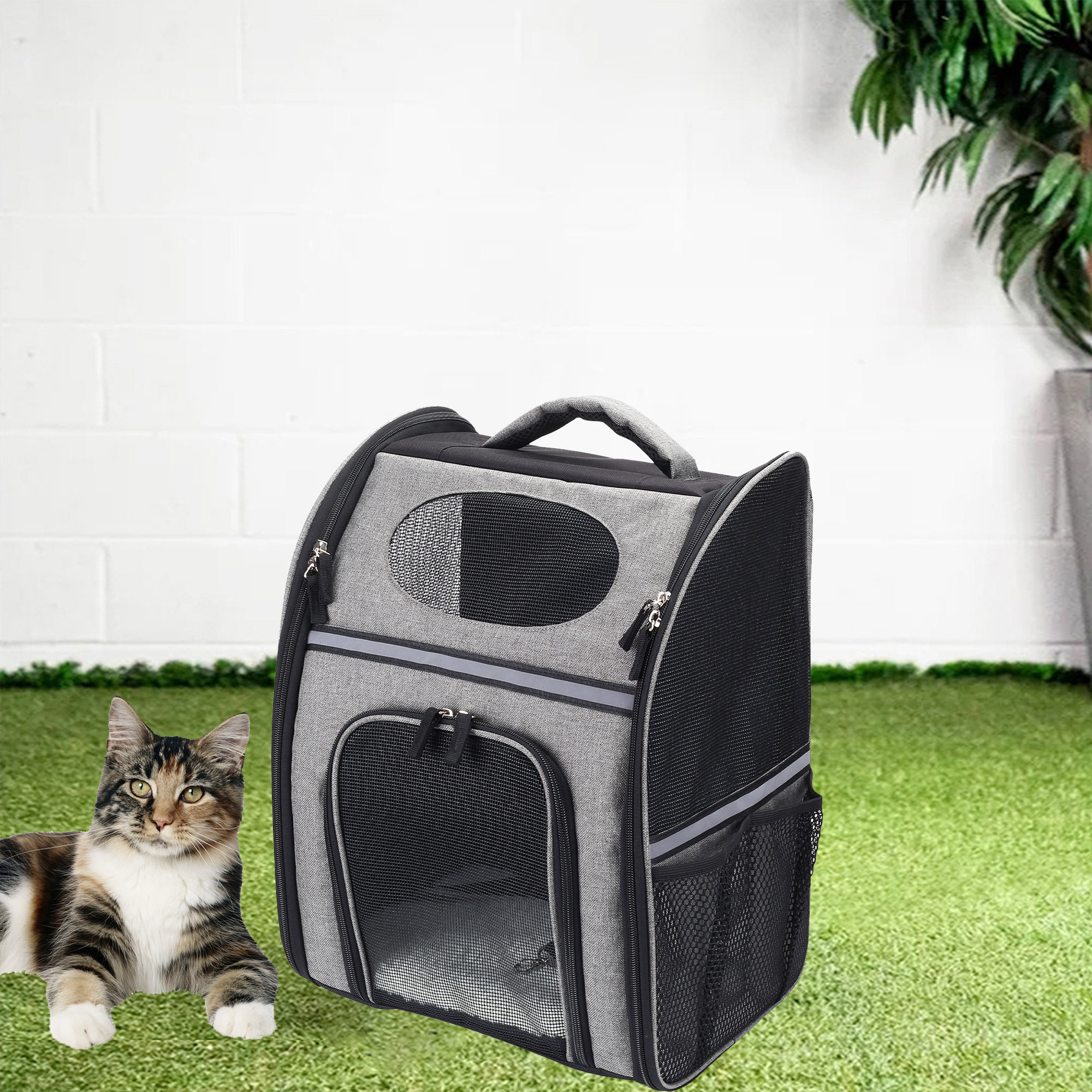 Cat pod backpack best sale